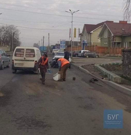 У Володимирі-Волинському на перехресті сталась аварія. ФОТО