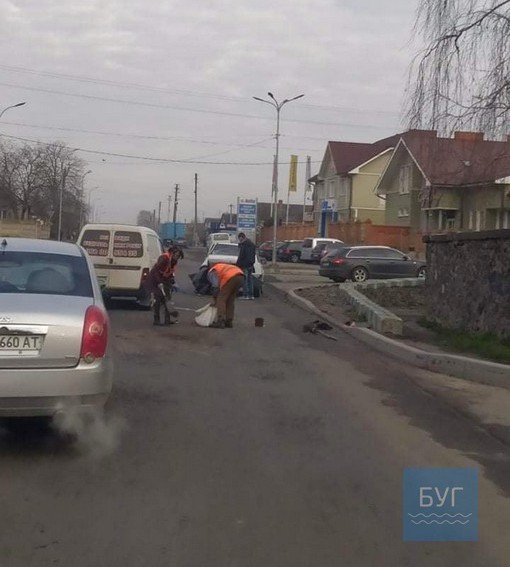 У Володимирі-Волинському на перехресті сталась аварія. ФОТО