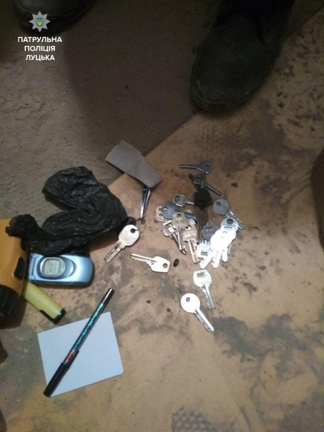 Затримання крадіїв