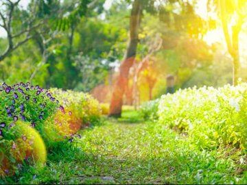 25 липня – яке сьогодні свято та що не можна робити в цей день