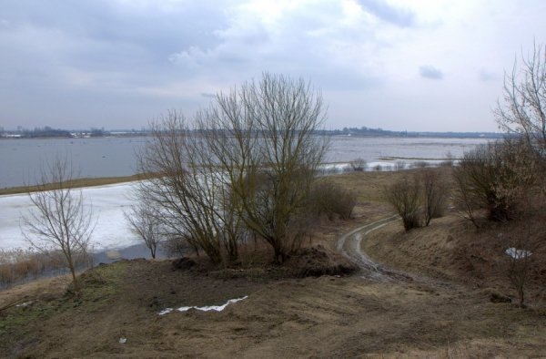 Під Луцьком підтоплює села. ФОТО