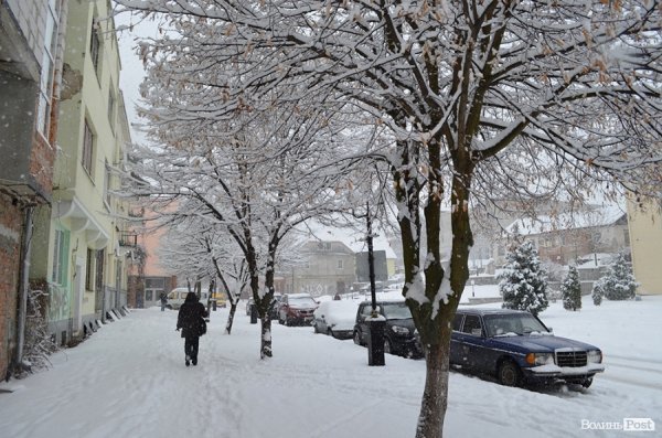 Снігопад у Луцьку. ФОТО