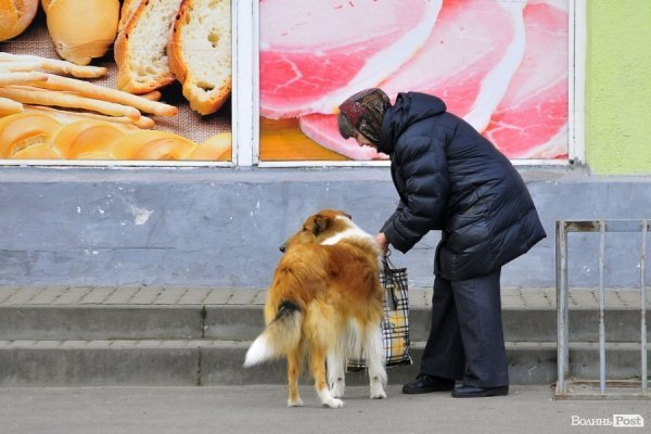 Люди на зупинках. БУДНІ МІСТА