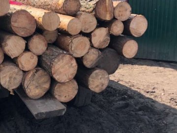На подвір'ї волинянина знайшли незаконно зрубану деревину: він постане перед судом