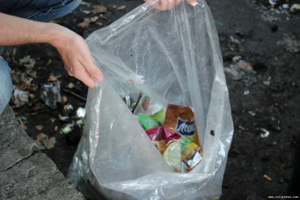 Як прибирали біля луцького слоника. ФОТО