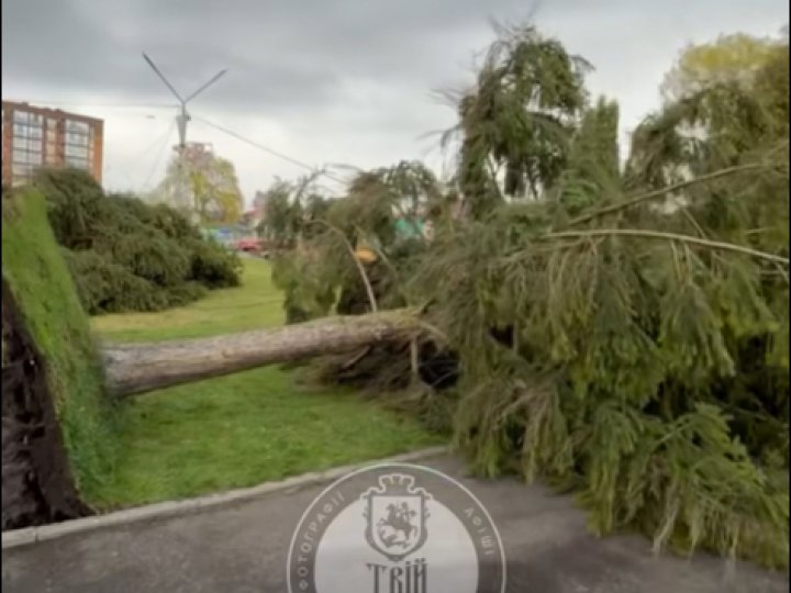 У місті на Волині вітер звалив головну ялинку. ВІДЕО