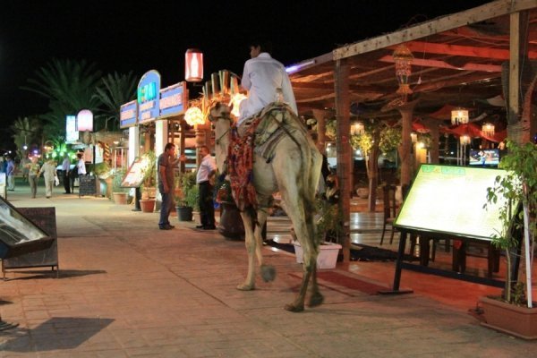 Фотовиставка Олександра Пизи