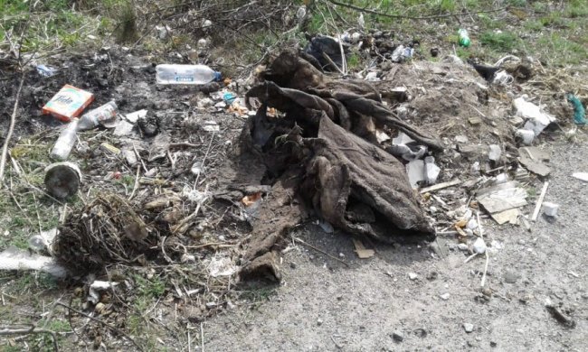 Волинянина оштрафували за викинуте на узбіччі дороги сміття 