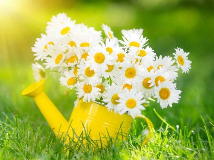 Якою буде погода у Луцьку та на Волині у понеділок, 8 вересня