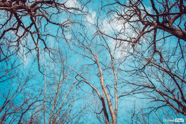 Перший день весни у «волинській Швейцарії». ФОТОРЕПОРТАЖ