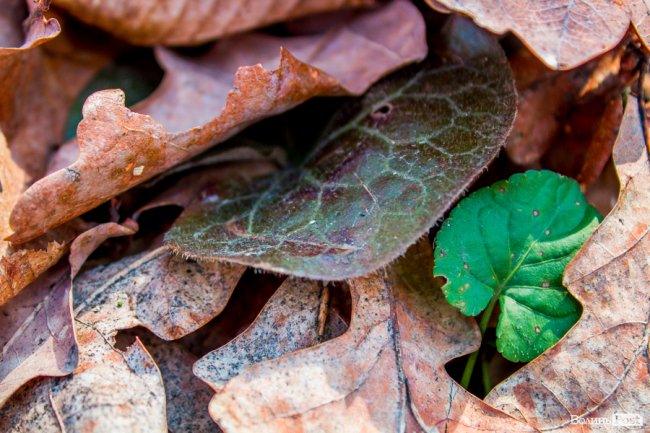 Перший день весни у «волинській Швейцарії». ФОТОРЕПОРТАЖ