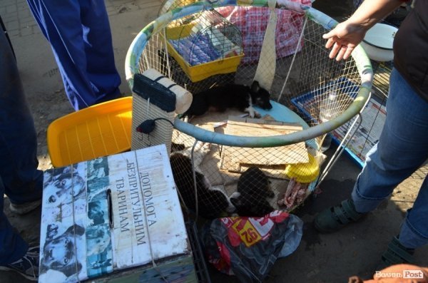 Волонтери запевняють, що дезинфікують контейнери