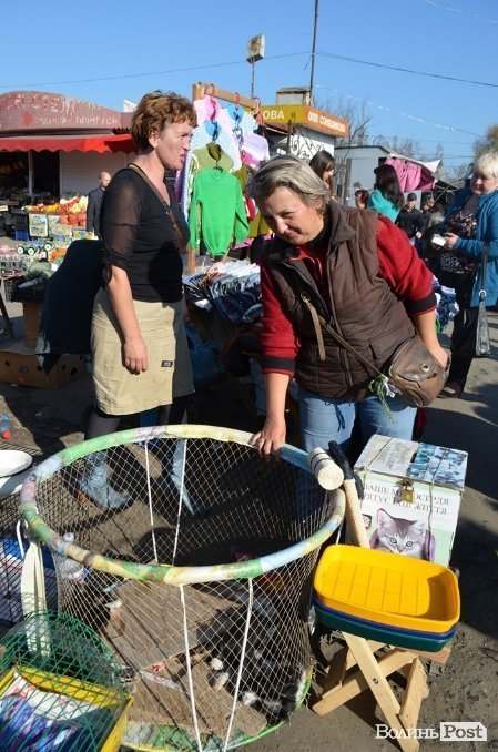 Отут роздають цуценят і котенят