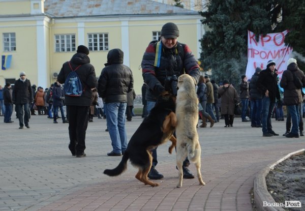 У Луцьку на Євромайдані – навіть собаки. ФОТО