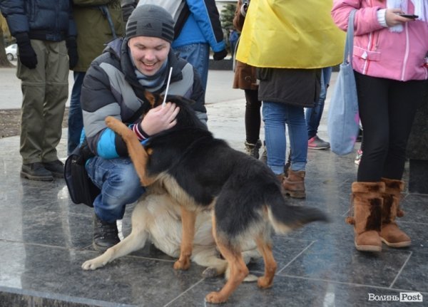 У Луцьку на Євромайдані – навіть собаки. ФОТО