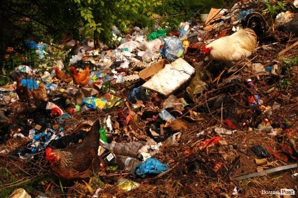 У Луцьку величезне сміттєзвалище «не помічають» більше 10 років