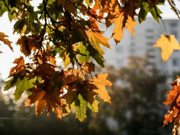 Погода у Луцьку на завтра, 3 вересня