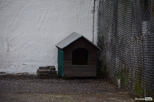 На вході в Кінологічний центр 