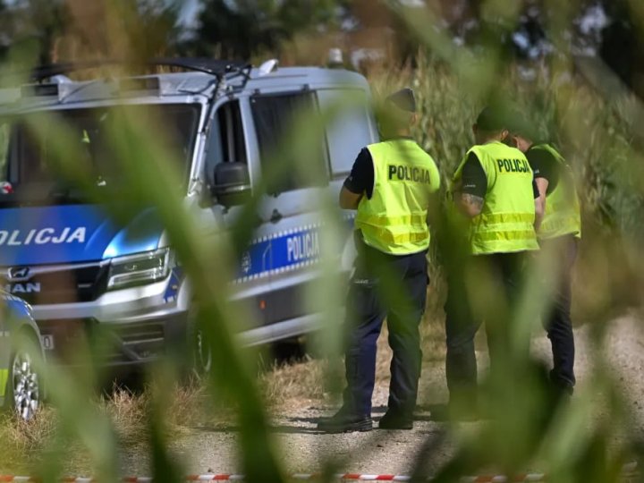 У Польщі заявили, що російський дрон, який упав у полі, міг залетіти з України