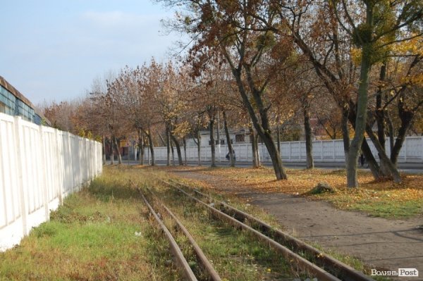 Ковель буденний. ФОТО