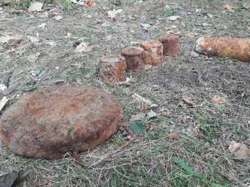Міни, гранати і снаряди: що на Волині знаходять у лісі грибники