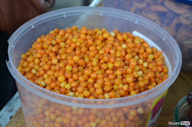 Гарбузи, журавлина та обліпиха: скільки на луцькому ринку коштують дари осені