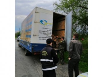 У Ківерцівському районі лісівники та поліція затримали автомобіль із незаконною деревиною