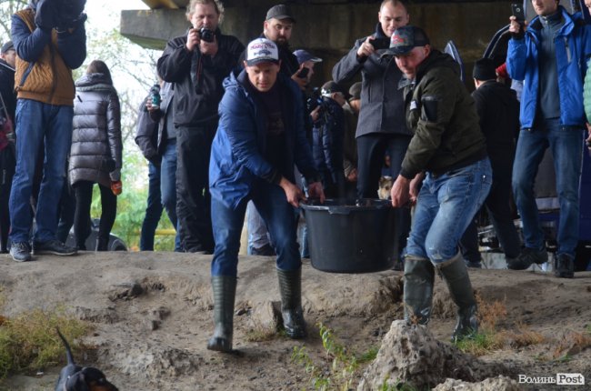 Щука, короп і судак: у луцький Стир випустили тисячі рибин. ФОТО