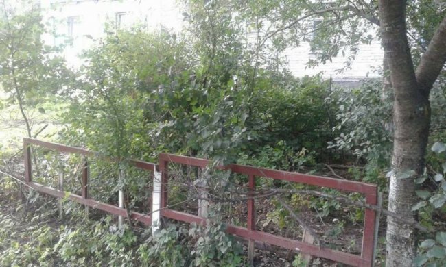 Муніципали зносять паркани та обмежувачі руху у Луцьку. ФОТО