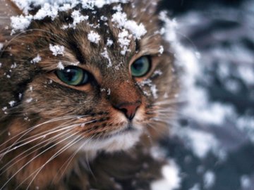 Погода в Луцьку та Волинській області на четвер, 14 лютого