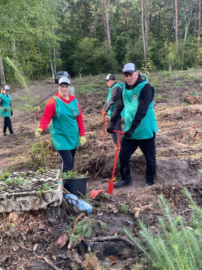 Висадили гектар лісу: команда Modern Expo взяла участь в екоініціативі. ФОТО