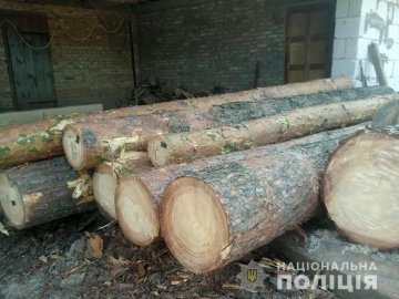 На Волині у власника пилорами провели обшуки і знайшли незаконну деревину