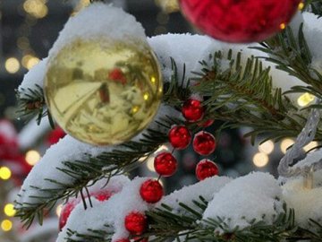 Погода у Луцьку та на Волині 1 січня