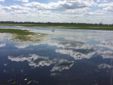 Які райони Волині – під загрозою підтоплення