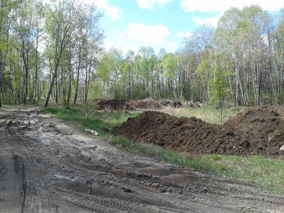 Відходи з Ковельського ветсанзаводу викидали біля людських городів