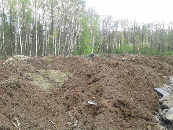 Відходи з Ковельського ветсанзаводу викидали біля людських городів