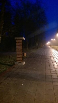 Вандали перевертали лавки у центральному парку Луцька