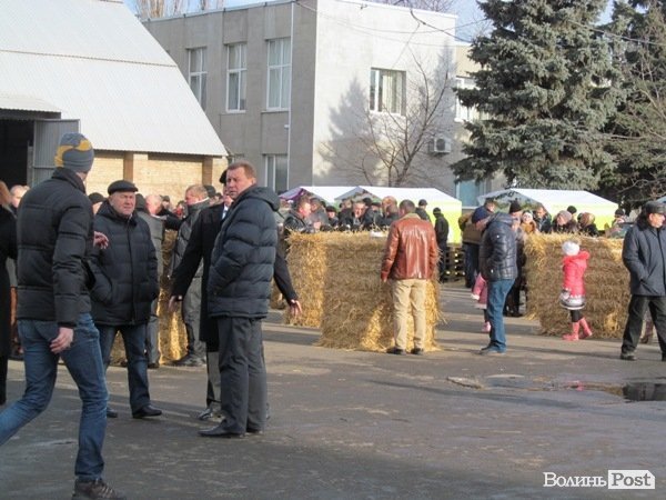 У Луцьку фірма замість новорічного корпоративу збирає гроші на АТО. ФОТО 