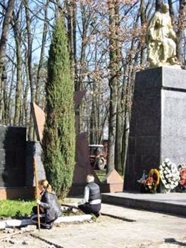 На Волині до Покрови безробітні впорядкували сто кладовищ