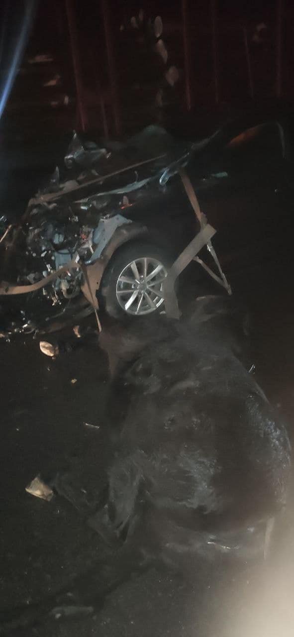 На рівненській трасі зіткнулися кінна підвода та авто: 4 людей у важкому стані, 2 коней загинули. ФОТО