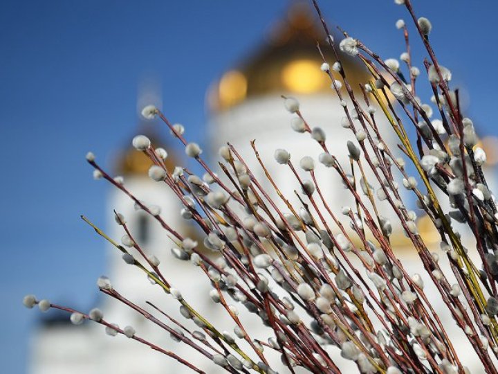 Коли Вербна неділя 2025 року за новим календарем: що це за свято, які традиції існують