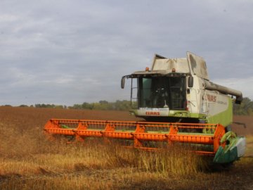Волинські аграрії завершують збір урожаю 