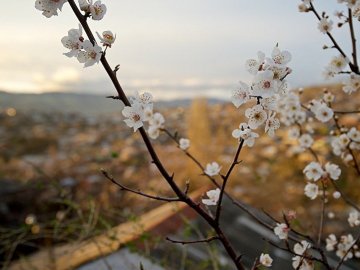 Яке свято 13 травня і чого не можна робити у цей день