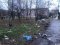 Сміття розлітається по всій окрузі: мешканці волинського міста скаржаться на майданчик для відходів. ФОТО