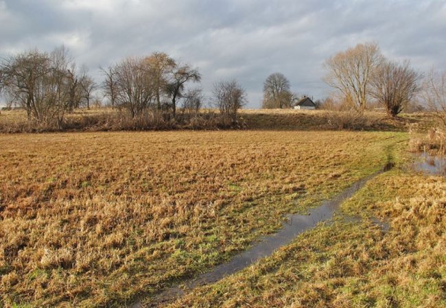 Осінньо-зимові пейзажі на світлинах волинського фотографа