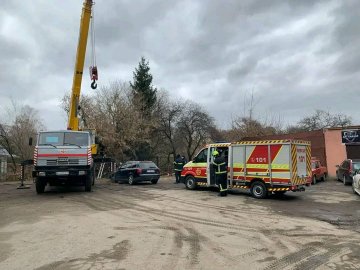 У Луцьку на автомобіль впало дерево