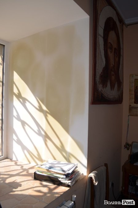 Стіни музею страждають від грибка