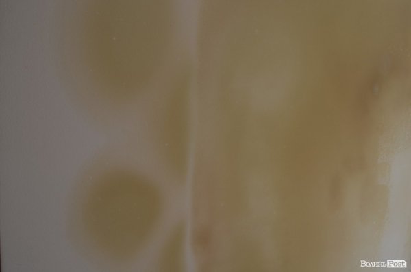 Стіни музею страждають від грибка