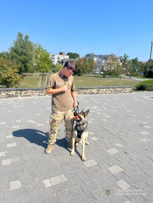 «Загубилась мама»: на Волині вівчарка знайшла зниклу жінку
