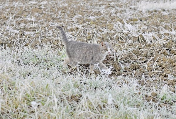 Волинь в льодяному тумані. ФОТО